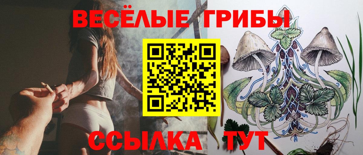 Галлюциногенные грибы мухоморы Ижевск